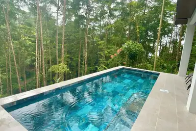 Image de New pool-Jungle-5 min to Uvita-shopping-Beaches