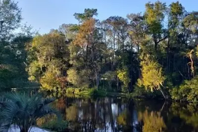 Image de This house is a 2 bedroom(s), 2 bathrooms, located in Middleburg, Fl.