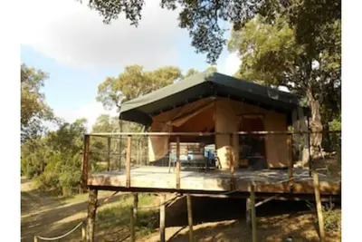 Image de Immortal Lodges