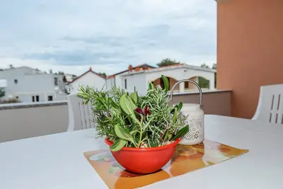 Image de Appartement Simic (50956-A3) - Vir - île de Vir