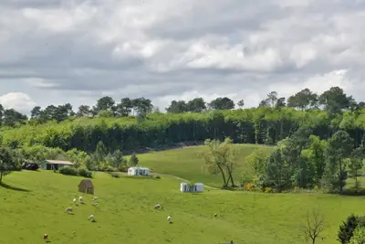 Image de Chalet avec jardin au milieu de la nature