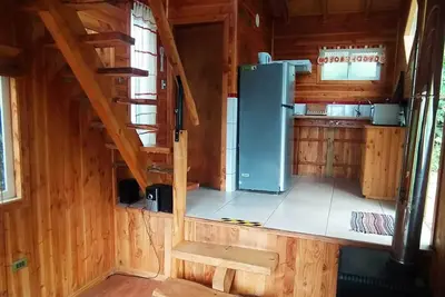 Beautiful tiny house, in the middle of the forest.