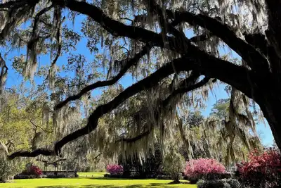 Image de Wedgefield Country Club
