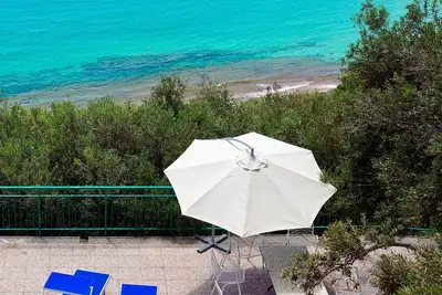 Image de In an olive grove with stunning sea views