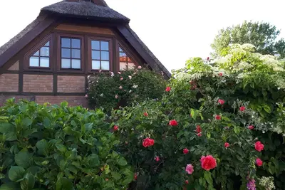 Image de Vacation apartment/apartment for 2 guests with 36m² in Fuhlendorf (173944)