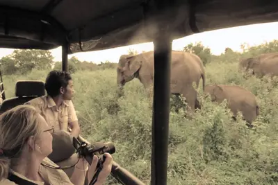Image de Gamping in Style bordering Udawalawe National park