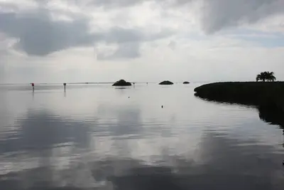 Image de Very Clean Waterfront Condo Close to Tarpon Springs and Dunedin