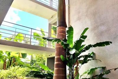 Image de Oasis Apartments Simpson Bay