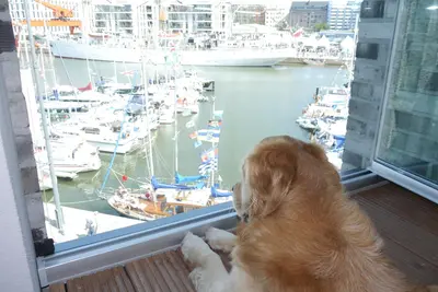 Image de Wonderful views, wonderful and direct waterfront location in the middle of the Havenwelten