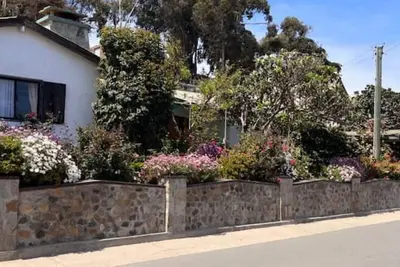 Image de Floral House In Maintencillo
