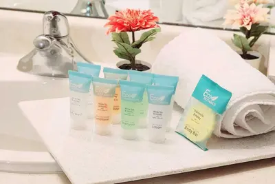 Image de Spacious lakeview condo in Downtown Toronto with free parking