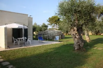 Image de Vacation home sea and olive trees 4
