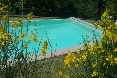 Holidays in total relaxation in a property surrounded by greenery with swimming pool