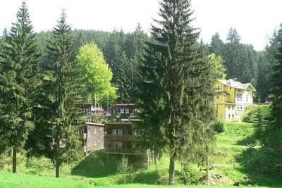 Spacious, idyllically situated vacation home in the forest