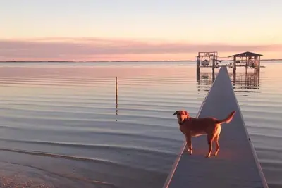 Image de Escape to Gulf Beach Getaway! (Pet friendly)