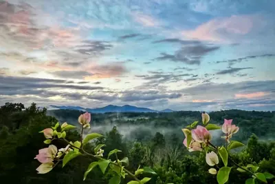 Image de New! Epic mountain view, 24 minutes to Downtown Asheville, Nc