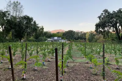 Image de Napa Valley Vineyard Estate & Guest House w/ hot tub