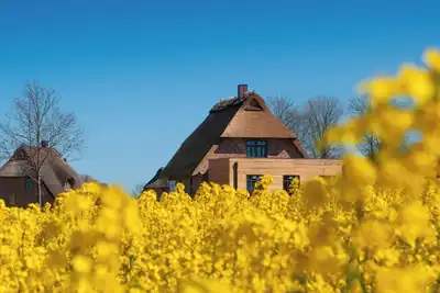Image de SteilkĂĽste, das Atelierhaus Unter Reet fĂĽr bis zu 8 Personen&direktem Seeblick