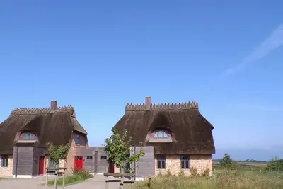 Image de Malerhaus Torfstich, das Reetdach Doppelhaus fĂĽr 4-5 Personen& Direktem Seeblick