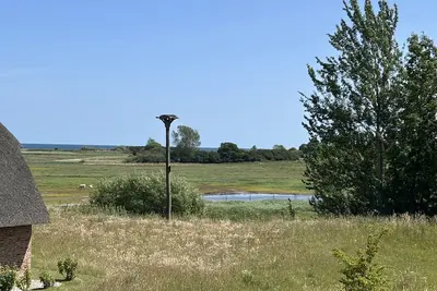 Image de Atelierhaus Morsezeichen Unter Reet fĂĽr bis zu 8 Personen mit Wildwiesenblick