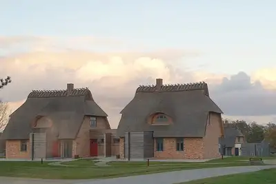 Image de Malerhaus Eichenwald, das Reetdach Doppelhaus fĂĽr 4-5 Personen mit Birkblick