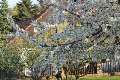 Image de Prague 13 mins by bus. Rural Cottage for 2 up to 45 Guests
