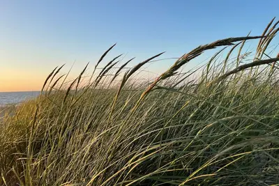 Image de Strandnahe 3-zi. -fewo für 4 Pers. --> Inklusive Bettwäsche und Handtücher <--