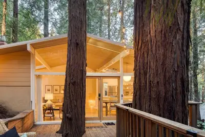 Image de Window to the Redwoods