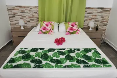 Image de Villa soleil et cocotier