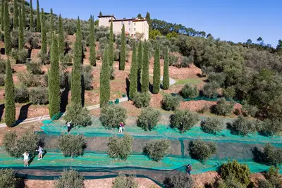 Image de Luxury 6-bed Tuscan villa near Lucca and Florence w/ saltwater pool