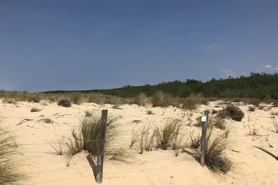 Image de Cottage avec piscine chauffé au calme de la forêt