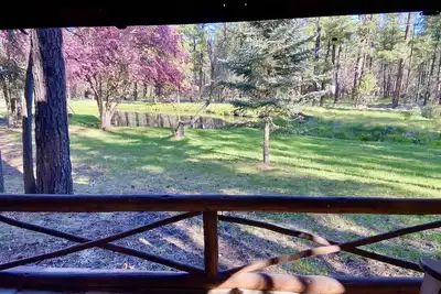 Image de Historic, Cozy Cabin with pond and 3. 4 acres in the heart of Pinetop!