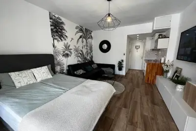 Image de Appartement luxueux au centre-ville, Wi-Fi gratuit, climatisation, animaux acceptés