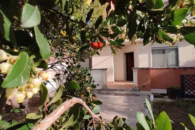 Image de Villetta Butterfly: Your Charming Retreat in Salento Cin It075020c200069821