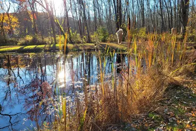 Image de 15% off; private pond; fireplace; 4-min to village
