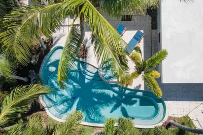 Image de Tropical Breeze and Palm Trees