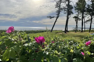 Image de West Chop Sandy Beach, Water Front, 6 Br, Great Views!