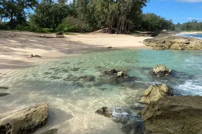 Image de Tropical Getaway perfect for families, near beach, free wifi