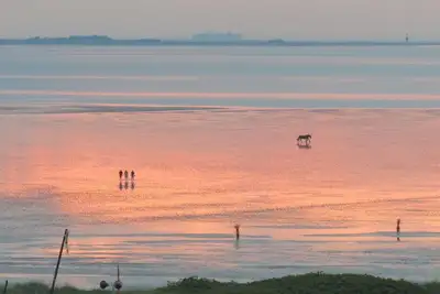 Image de Nc61 on the 6th floor - Beautiful apartment with sea view in the North Sea surf