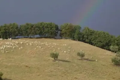 Image de Basilico, Agriturismo Ca'Mazzetto, Organic farmhouse in  Franciscan peace trail