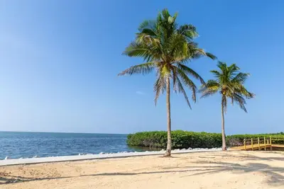 Image de Best Place to Stay in Florida! 3 Pet-Friendly Units, Free Breakfast, Parking