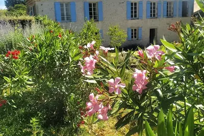 Image de Spacious, recently converted Charentais farmhouse in small commune