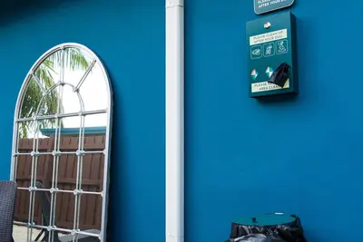 Image de Modern Oasis
