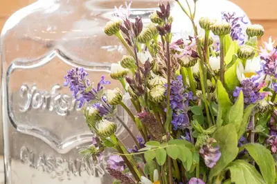 Image de Schäferwagen-häusle Tanne