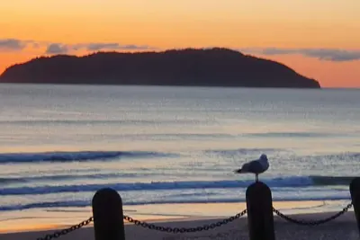 Image de Roberts Beach Escape in Tairua is 3-5 minute walk from the beach