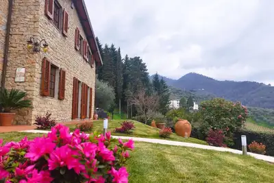 Villa Camelia Tuscany villa avec piscine et vue magnifique entourée d'oliviers