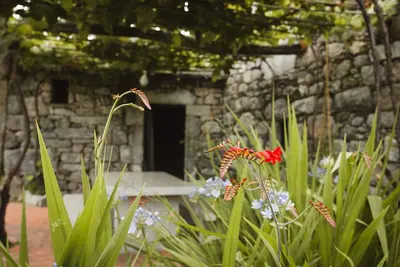 Image de One of two private and intimate casitas. Surrounded by nature.
