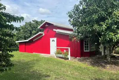 Image de Tiny House Located in the Middle of a Tropical Fruit Farm