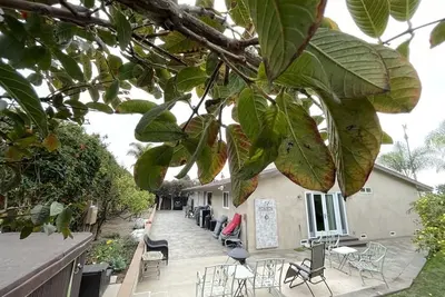 Image de 180 Sunset View Lookout - Hot tub & Fire Pit