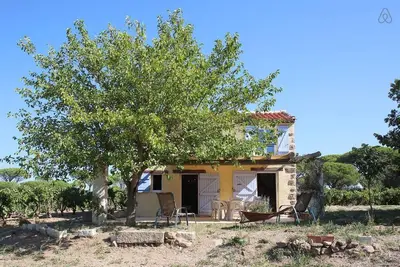 Image de la petite maison dans les vignes